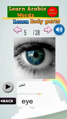 Learn Arabic Words android App screenshot 3