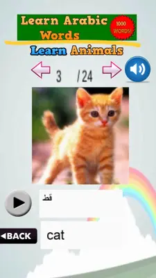 Learn Arabic Words android App screenshot 4